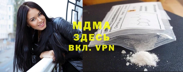 индика Краснослободск