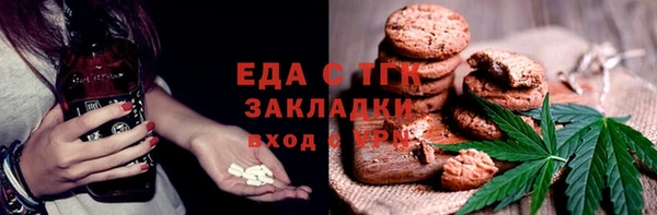 индика Краснослободск
