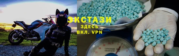 индика Краснослободск