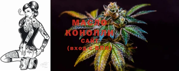 индика Краснослободск