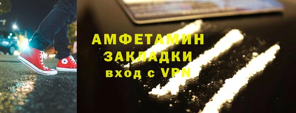 индика Краснослободск