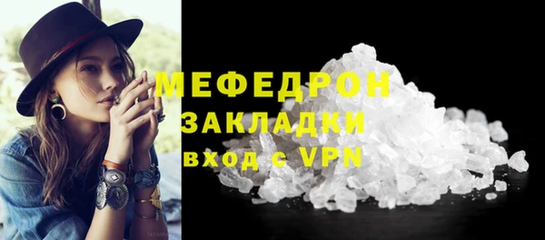индика Краснослободск