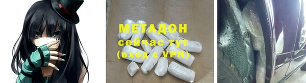 индика Краснослободск