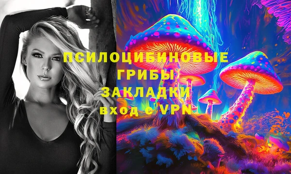 индика Краснослободск