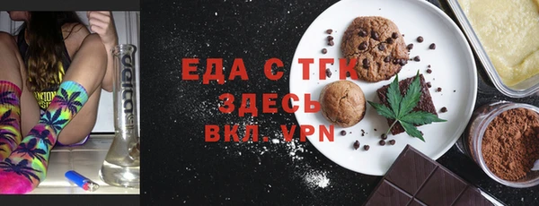 индика Краснослободск