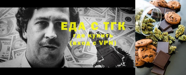 индика Краснослободск